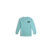 Лонгслив Airblaster Team LS Tee-Celadon