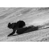 Сноуборд KORUA TRANSITION FINDER Brushed