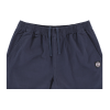 Штани Independent  BTG Summit Skate Pants Navy Bottom