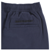 Штани Independent  BTG Summit Skate Pants Navy Bottom