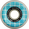 Колеса скейт BONES WHEELS SPF Skateboard Wheels Pool & the Gang 54 V6 Widecut 101A