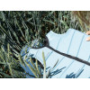 Жилет для вейкборду Follow - 2025 | P1 Traction Ladies - Ocean