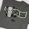Футболка Santa Cruz Roskopp Voodoo Room S/S Heavyweight T-Shirt Charcoal Футболка Santa Cruz Roskopp Voodoo Room S/S Heavyweight T-Shirt Charcoal