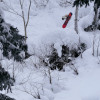 Сноуборд ROME Ravine 26