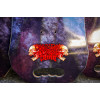 Скейтборд дека Creature Cannibal Corpse Explicit 10,56in x 31in SP26 Скейтборд дека Creature Cannibal Corpse Explicit 10,56in x 31in SP26
