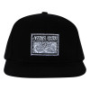 Кепкa Santa Cruz Dressen Celtic Dogs Snapback Structured Hat Black