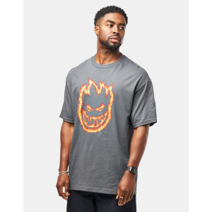 Футболка SPITFIRE CHARRED REMAINS TEE CHARCOAL