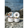 Колеса для скейтборда OJ Collin Provost Elite White Full Combo 56mm 99A Колеса для скейтборда OJ Collin Provost Elite White Full Combo 56mm 99A